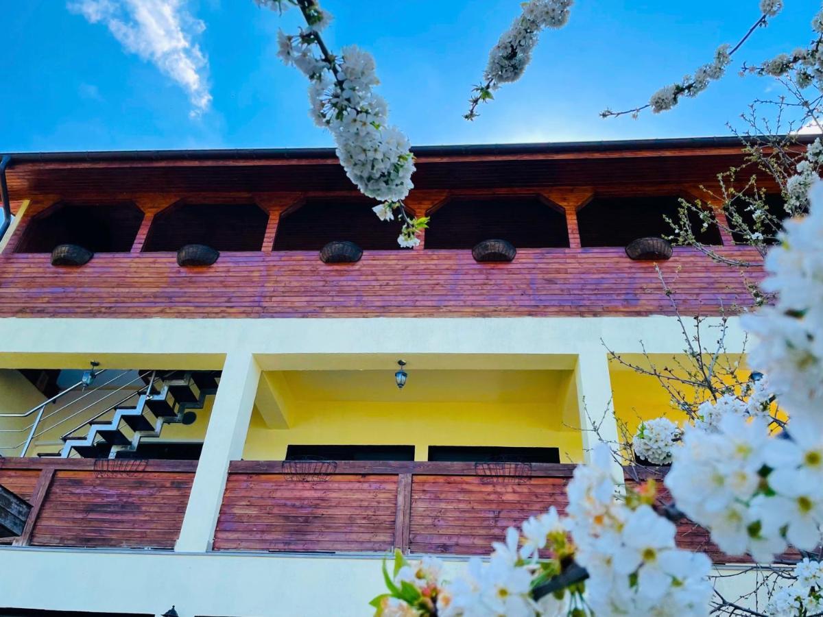 Casa Camelia Hotel Дубова Екстериор снимка